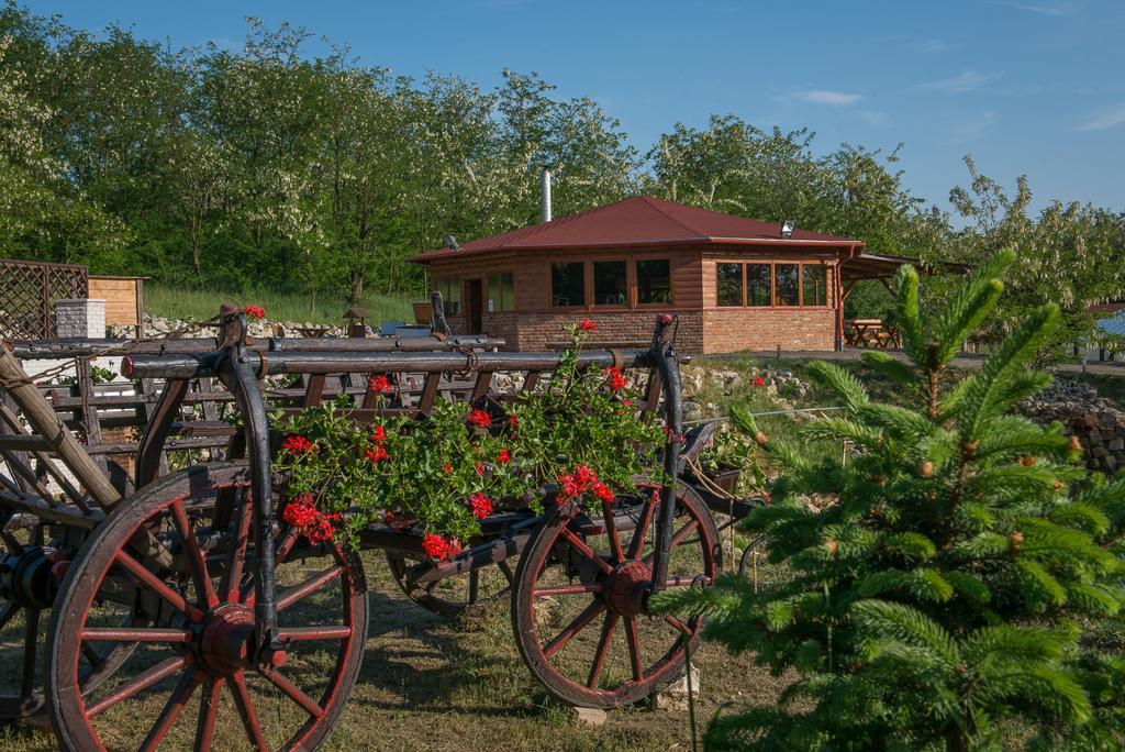 Hotel Farkasverem Vendeghaz Nyírtura Exteriér fotografie